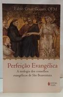 PERFEI��O EVANG�LICA - A TEOLOGIA DOS CONSELHOS EVANG�LICOS DE S�O BOAVENTURA-F�BIO CESAR GOMES