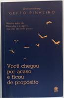 VOCE CHEGOU POR ACASO E FICOU DE PROPOSITO-GEFFO PINHEIRO