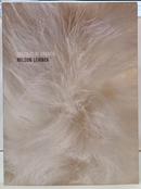 VESTIDAS DE BRANCO-NELSON LEIRNER ( CURADORIA E TEXTO MOACIR DOS ANJOS )