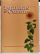 PLANTAS QUE CURAM - A NATUREZA A SERVI�O DE SUA SA�DE - VOL 1-EDITORA TR�S